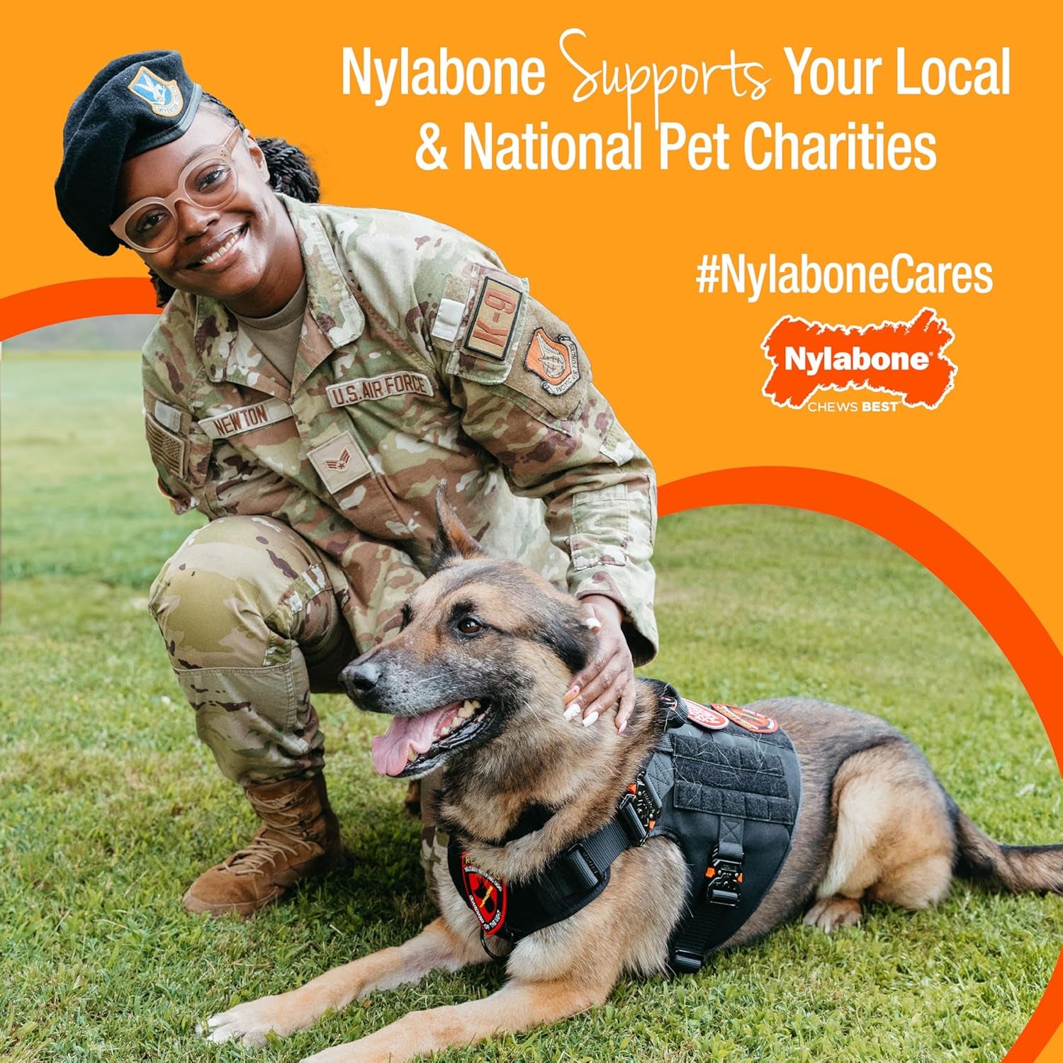 Wishbone Dog Chew Toys for Adult Dogs and Puppies