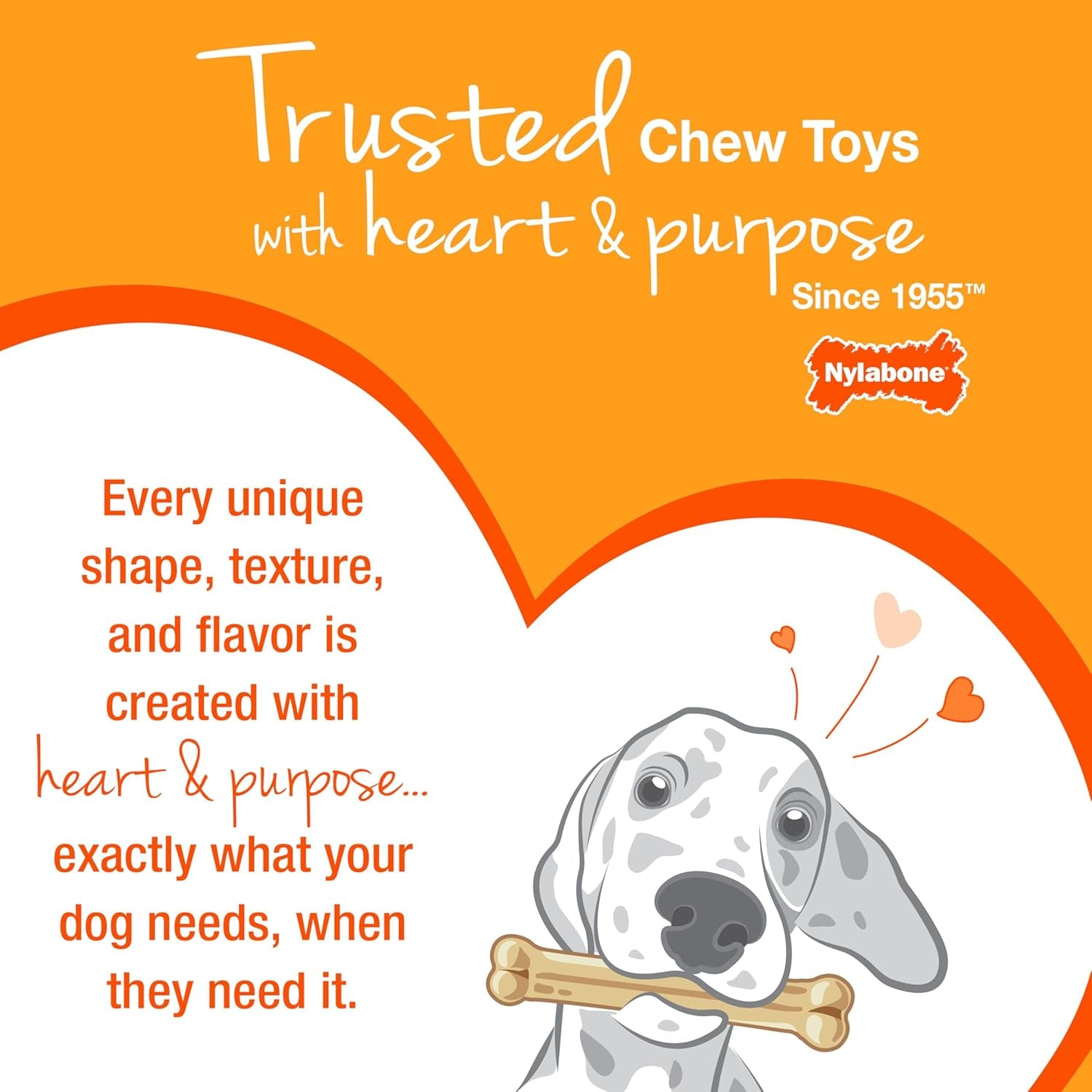 Wishbone Dog Chew Toys for Adult Dogs and Puppies