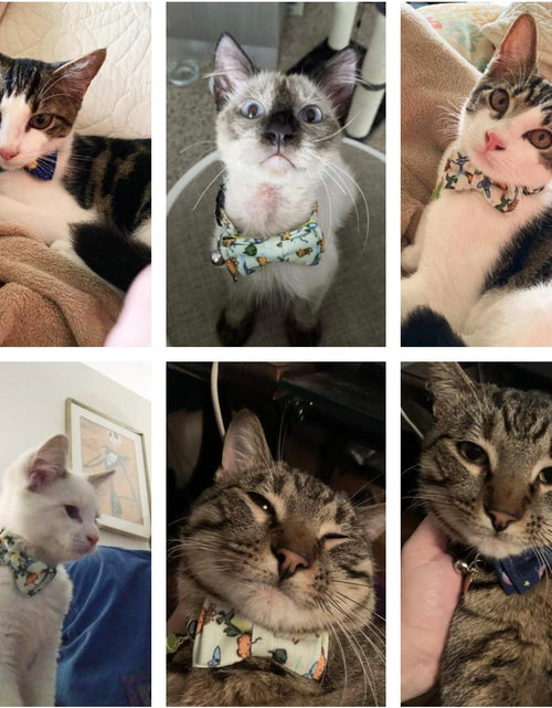 Load image into Gallery viewer, Cat Collar Breakaway with Cute Bow Tie Bell - 2 Pack Kitten Collar with Removable Bowtie Universe Dinosaur Pattern Cat Bowtie Collar for Cat Kitten (Dinosaur &amp; Universe)
