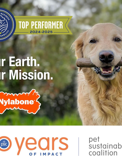 Load image into Gallery viewer, Wishbone Dog Chew Toys for Adult Dogs and Puppies
